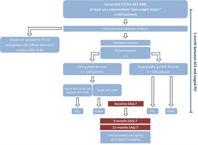 Quantitative Flow Ratio or Angiography for the Assessment of Non-culprit Lesions in Acute Coronary Syndromes: Protocol of the Randomized Trial QUOMODO